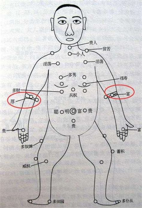 上手臂有痣|從手上的痣看你的好運在哪？上手臂有痣善於 ...